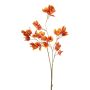 Bougainvillea spray orange 75cm