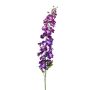 Delphinium spray purple 128cm