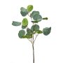 Eucalyptus spray green 105cm