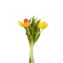 Tulip bundle x5 yellow/orange 30cm