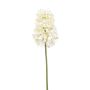 Hyacinthus spray cream 48cm
