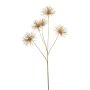 Anemone seed spray gold 97cm