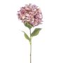 Hydrangea XL spray peach/purple 90cm