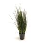 River grass 60cm
