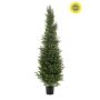 Cedar tree UV 150cm (knock down packing)