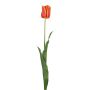 Tulip france spray orange/red 66cm