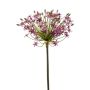 Allium spray dk purple 90cm