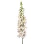 Digitalis spray cream 120cm