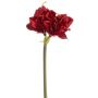 Amaryllis spray red 72cm