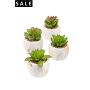 Succulent mix x4 in marble pot 10cm