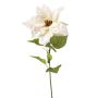 Poinsettia spray cream 65cm
