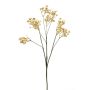 Gypsophila spray beige 68cm