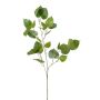 Ficus religiosa spray green 95cm