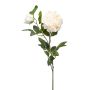 Peony spray cream 100cm