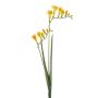 Freesia spray yellow 80cm