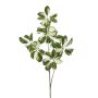 Schefflera spray green/white 110cm
