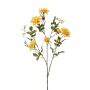 Rose loes spray yellow 90cm