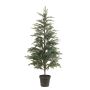 Picea tree in pot 150cm (knock down packing)