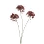 Allium spray burgundy 62cm
