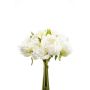 Peony bundle white/green 24cm