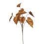 Begonia rex lvs spray copper flamed 82cm