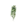 Scindapsus pictus hanging bush green/grey 90cm
