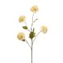 Chrysantum spray cream 68cm