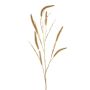 Pennisetum grass spray gold 117cm