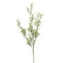 Asparagus spray green 80cm