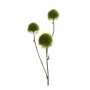 Dianthus spray green 58cm