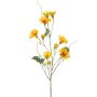 Nasturtium spray yellow 78cm