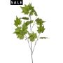 Platanus spray green 120cm