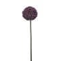 Allium spray purple 74cm