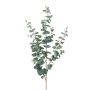 Eucalyptus spray green/grey 115cm