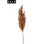 Sorghum spray lt brown 82cm