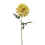 Dahlia spider spray green 56cm