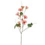 Nasturtium spray peach 78cm