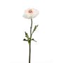 Ranunculus spray cream/pink 50cm