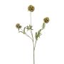 Scabiosa spray green 73cm