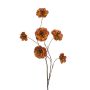 Ranunculus spray brown 110cm
