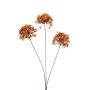 Allium spray orange 62cm