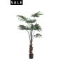 Palm livistona 150cm/8lvs