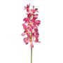 Vanda spray RT pink 80cm