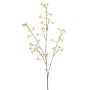 Thapsia spray yellow 88cm