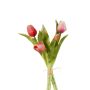 Tulip bundle x5 pink 30cm