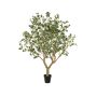 Eucalyptus botanic tree 240cm (knock down packing)