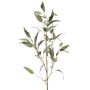 Eucalyptus spray w pods 115cm