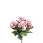 Hydrangea bush x5 40cm pink