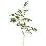 Sambucus spray green 105cm
