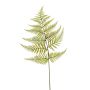 Fern spray green 80cm
